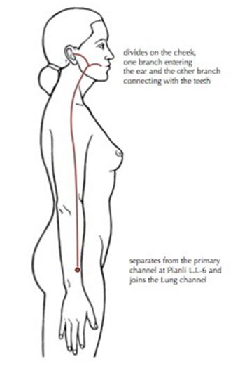 Luo Mai - Meridiano de Intestino Grueso