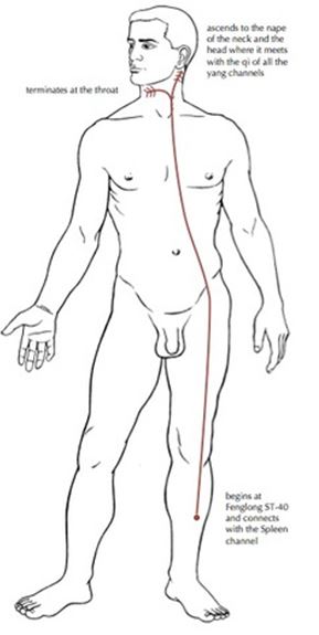 Luo Mai - Meridiano de Estómago