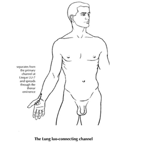 Luo Mai - Meridiano de Pulmon