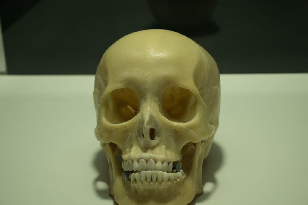 DU MAI - Funciones en el desarrollo evolutivo.