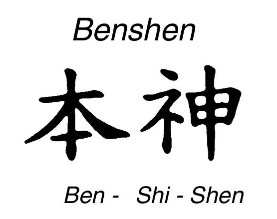 Captura de pantalla 2026-03-17 185404