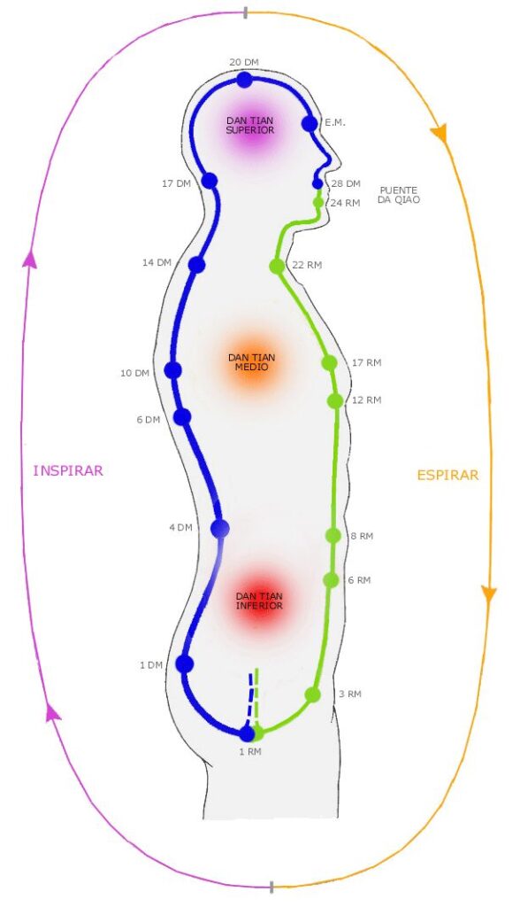 Ren Mai y Du Mai - Que nos dice su nombre