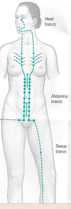 Captura de pantalla 2026-04-24 120545